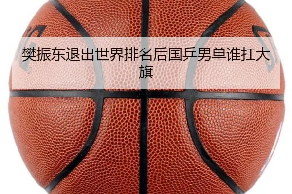 樊振东退出世界排名后国乒男单谁扛大旗